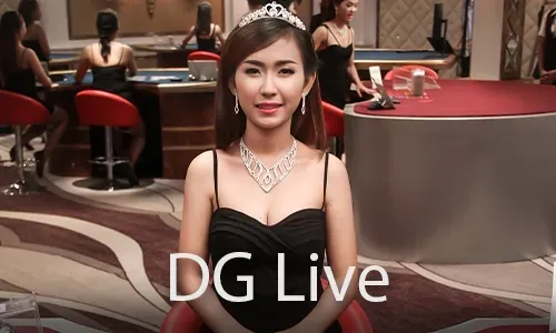 Immersive Live Casino Experience
